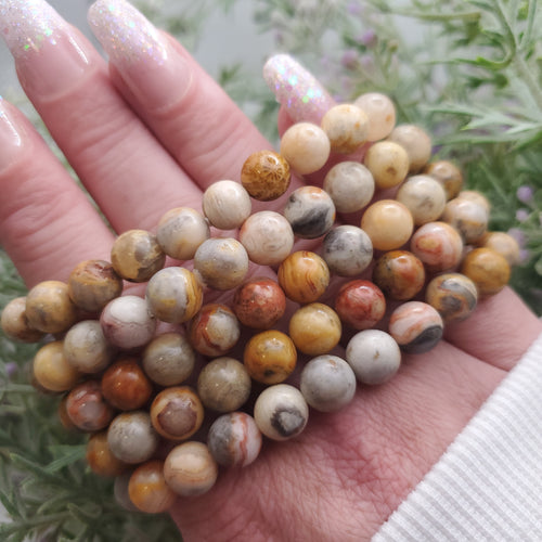 Crazy Lace Agate Stretch Bracelet