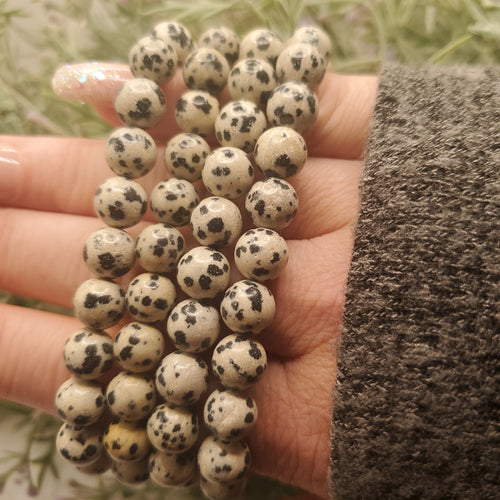 Dalmatian Jasper Stretch Bracelet