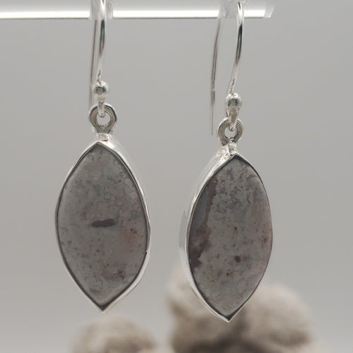 Crazy Lace Agate Sterling Silver Earrings