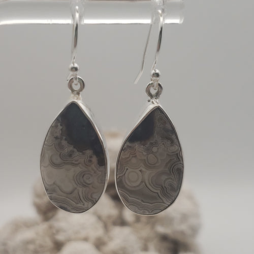 Crazy Lace Agate Sterling Silver Earrings