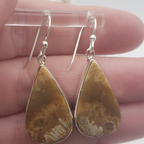 Fossilized Coral Sterling Silver Earrings