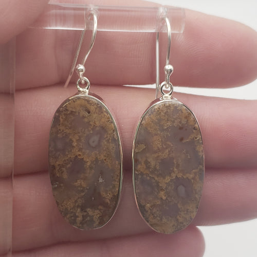 Fossilized Coral Sterling Silver Earrings