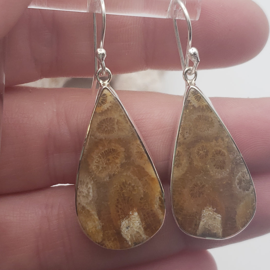 Fossilized Coral Sterling Silver Earrings