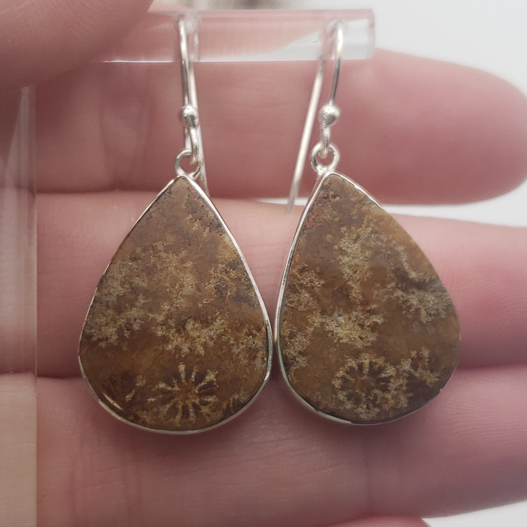 Fossilized Coral Sterling Silver Earrings