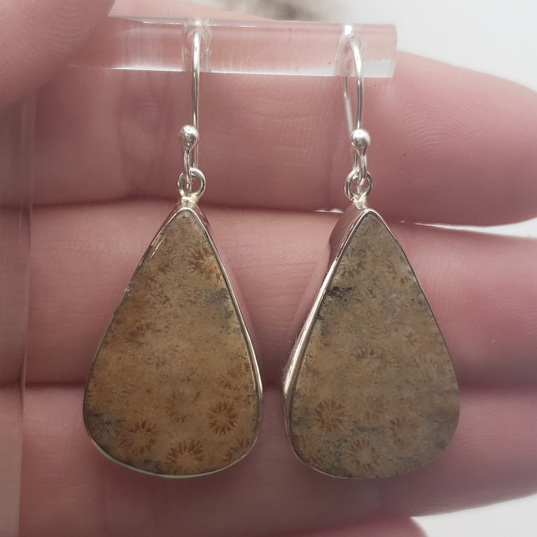 Fossilized Coral Sterling Silver Earrings