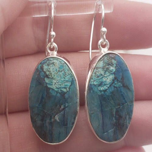 Chrysocolla Sterling Silver Earrings