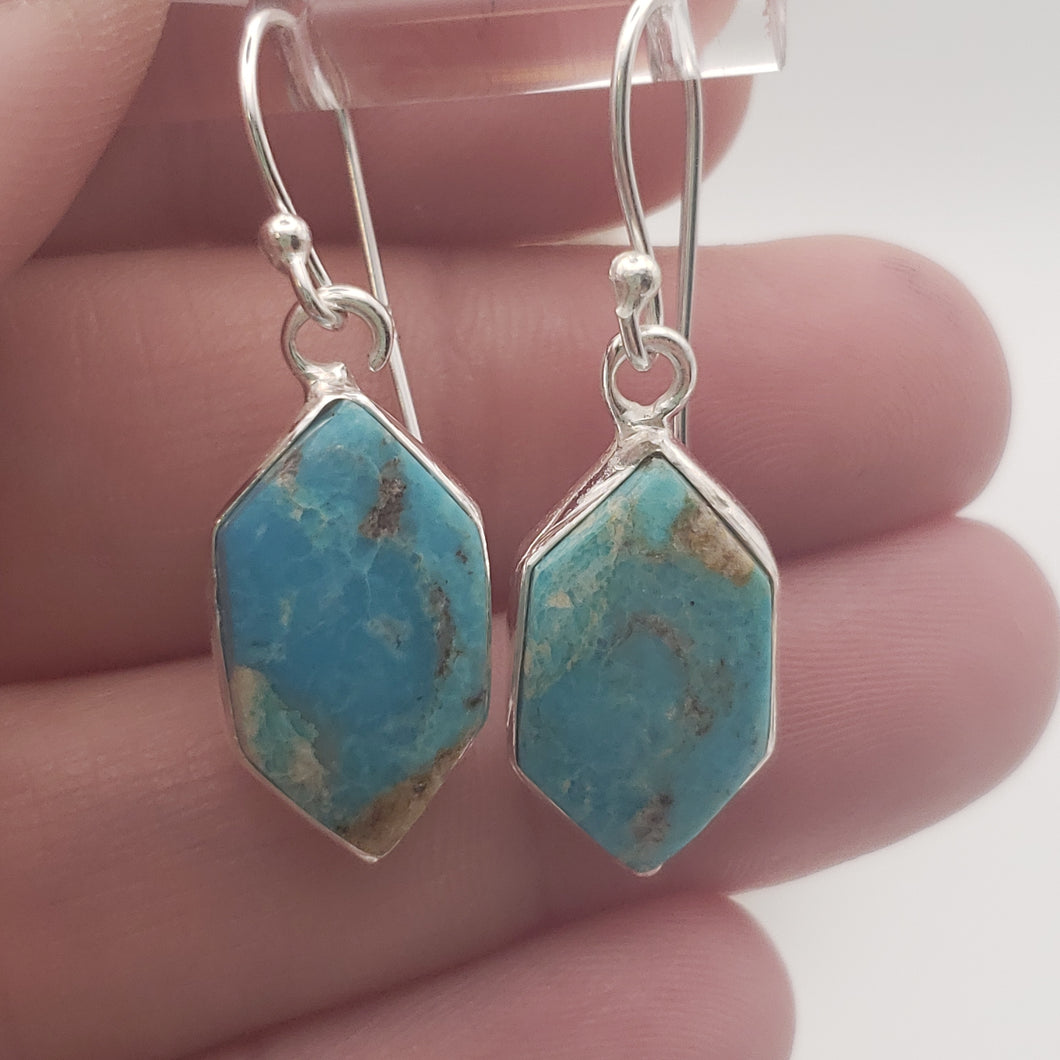 Mojave Turquoise Sterling Silver Earrings