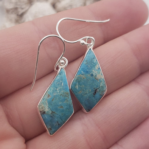 Mojave Turquoise Sterling Silver Earrings