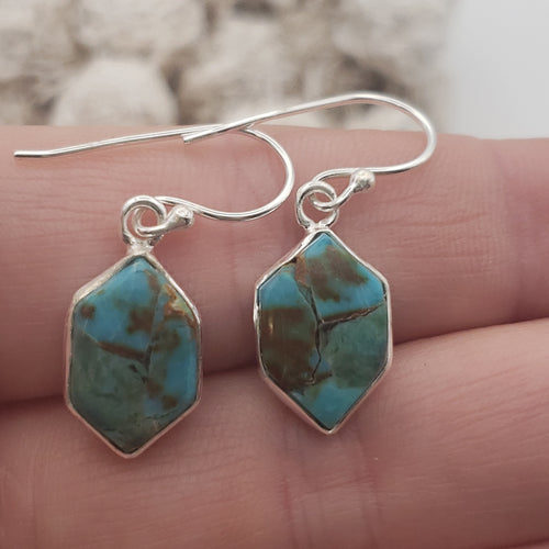 Mojave Turquoise Sterling Silver Earrings