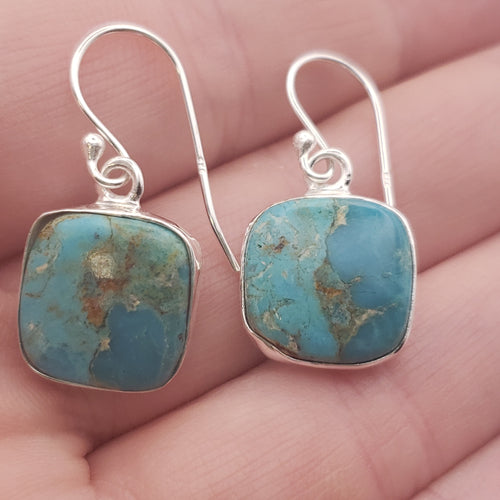 Mojave Turquoise Sterling Silver Earrings