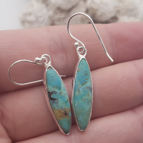 Mojave Turquoise Sterling Silver Earrings