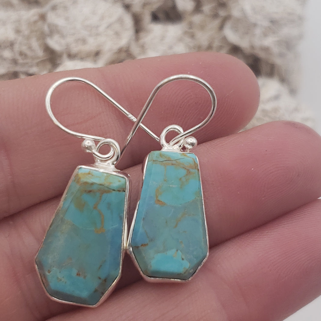 Mojave Turquoise Sterling Silver Earrings