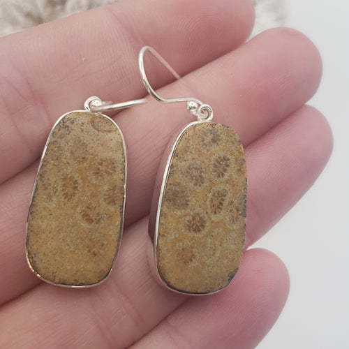 Fossilized Coral Sterling Silver Earrings