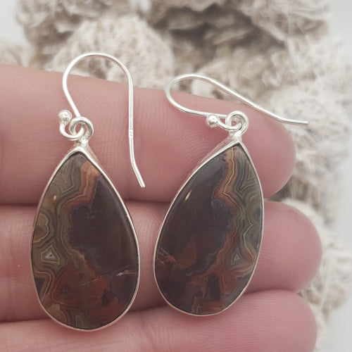 Crazy Lace Agate Sterling Silver Earrings