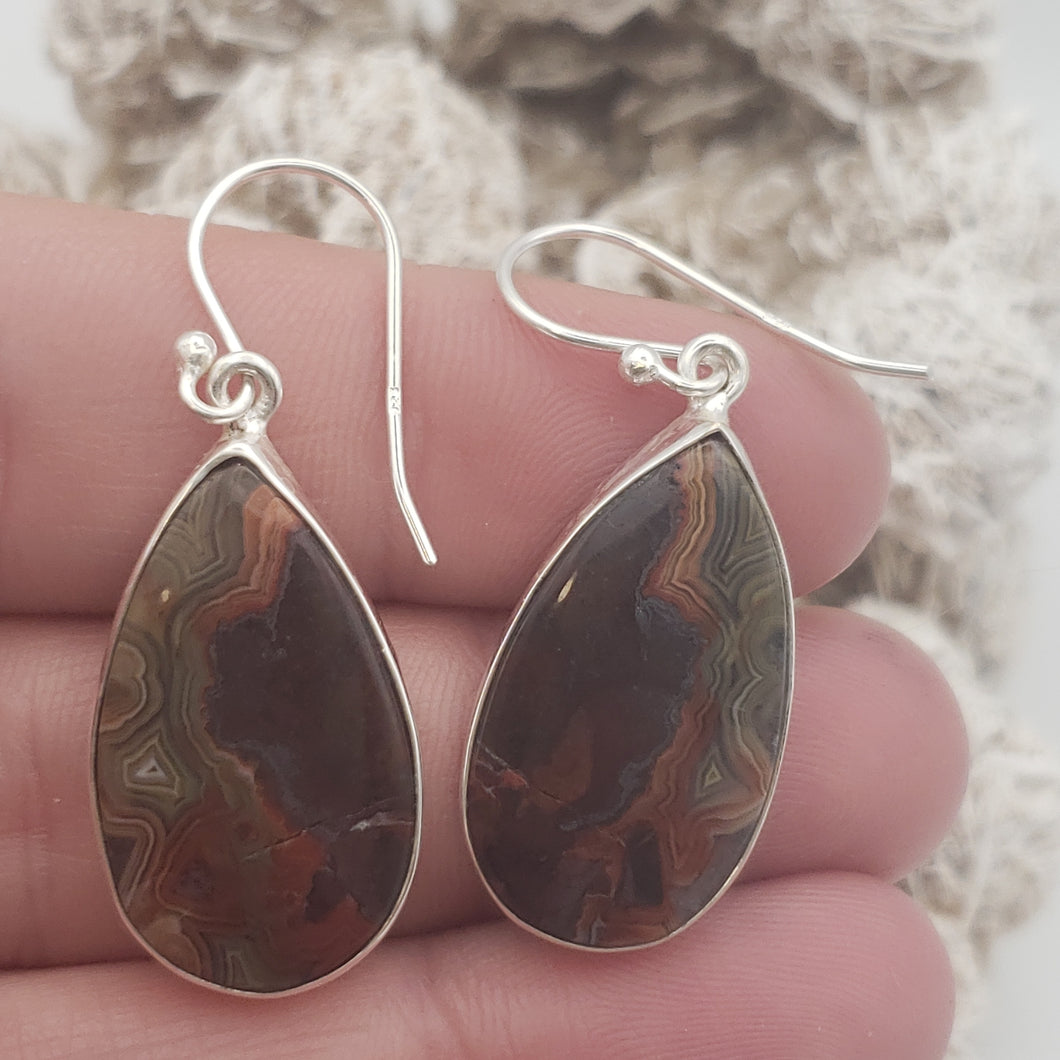 Crazy Lace Agate Sterling Silver Earrings