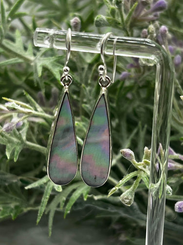 Abalone Shell Sterling Silver Earrings