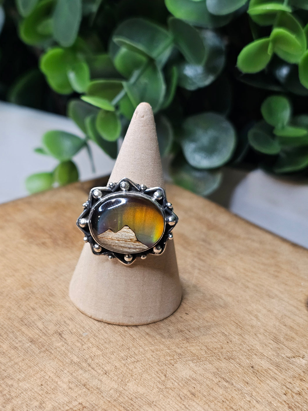 Aurora Borealis & Petrified Wood Sterling Silver Ring Size 11
