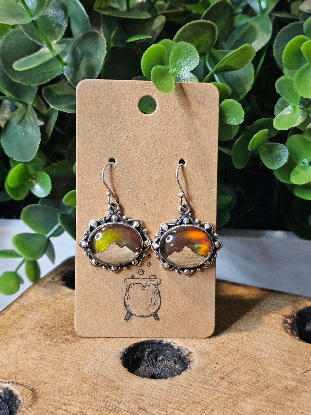 Aurora Borealis & Petrified Wood Sterling Silver Earrings